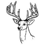 DEER009