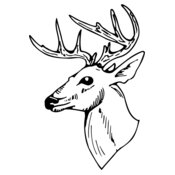 DEER018